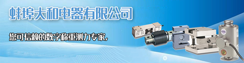 稱重傳感器,拉力傳感器,張力傳感器,測力傳感器,稱重傳感器廠家,蚌埠傳感器